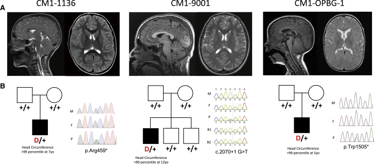 Figure 2