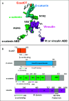 Fig. 1.