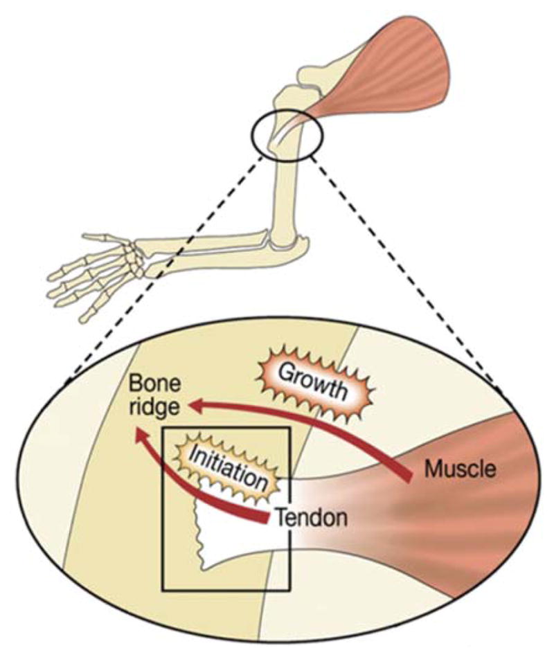 FIGURE 6