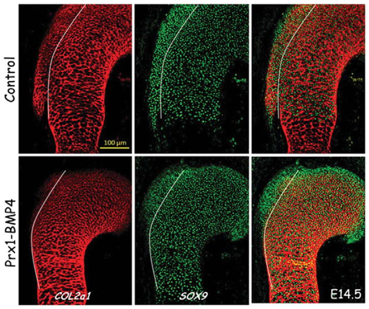 FIGURE 3