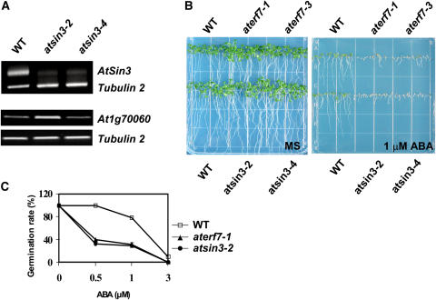 Figure 6.