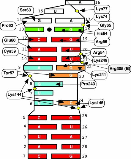 Fig. 4.