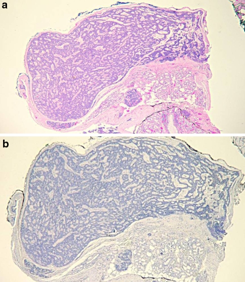 Fig. 6