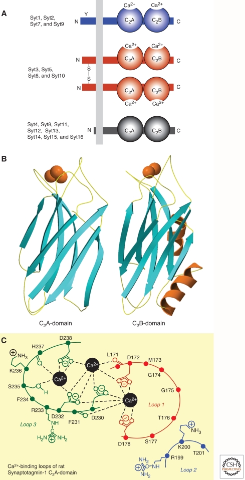 Figure 2.