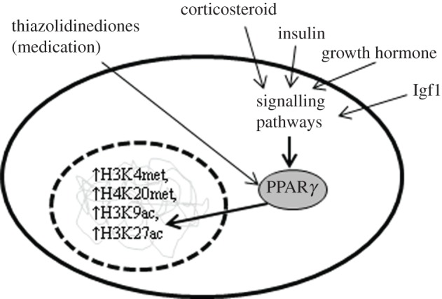 Figure 1.