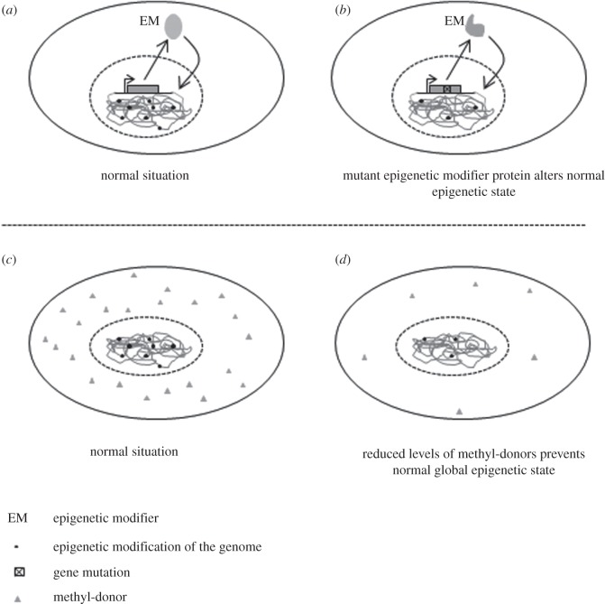 Figure 2.