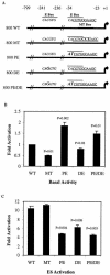 FIG. 1.