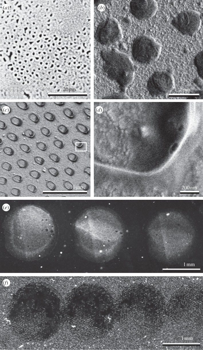 Figure 1.