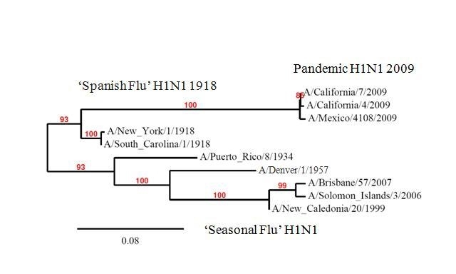 graphic file with name figure-3.bmg.jpg