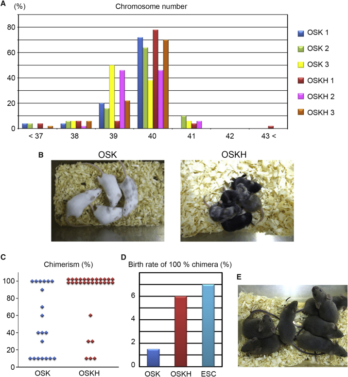 Figure 4