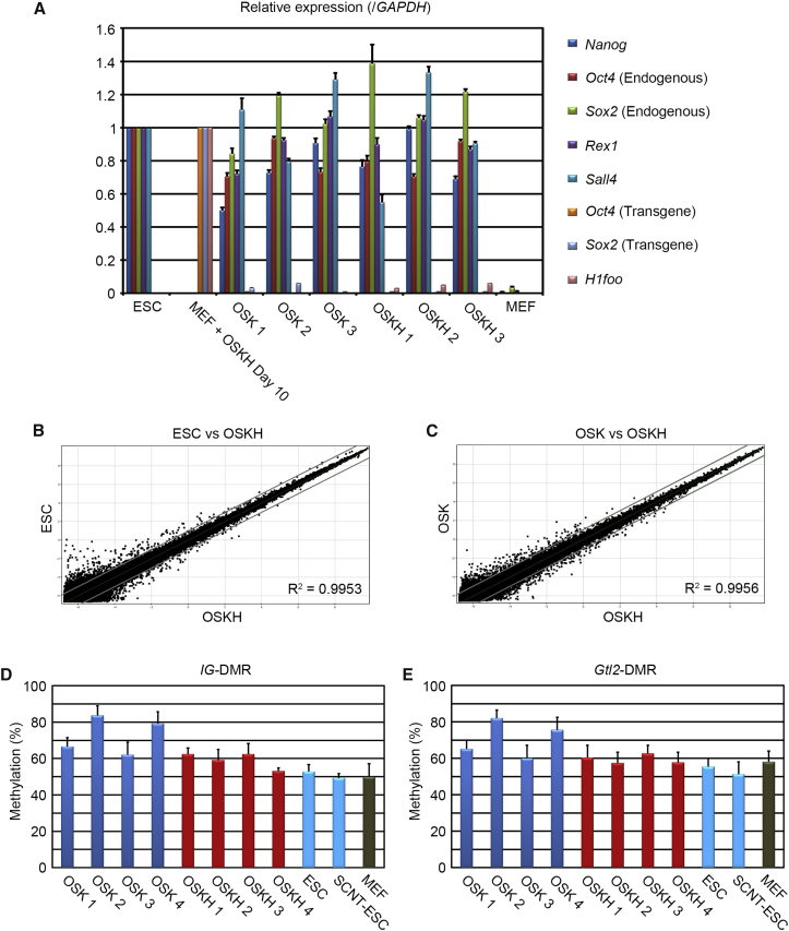 Figure 2