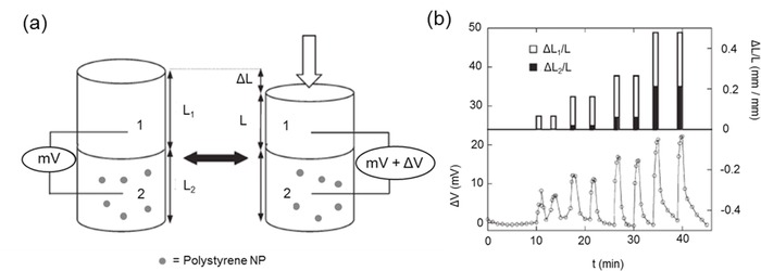 Figure 12