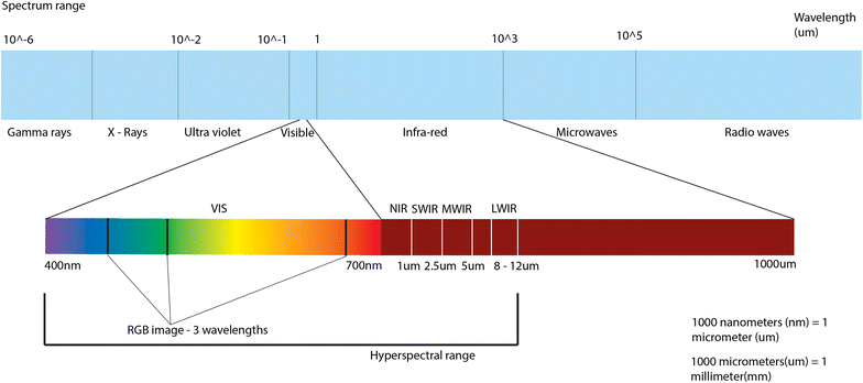 Fig. 1