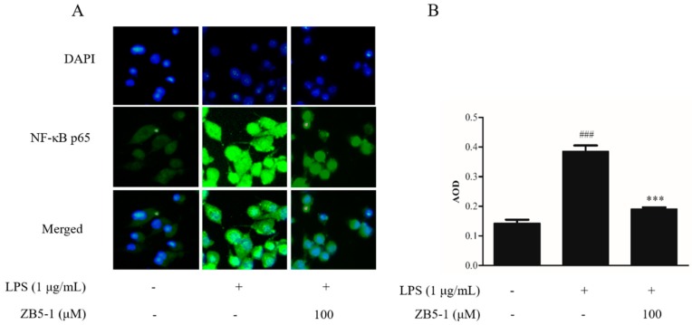 Figure 7