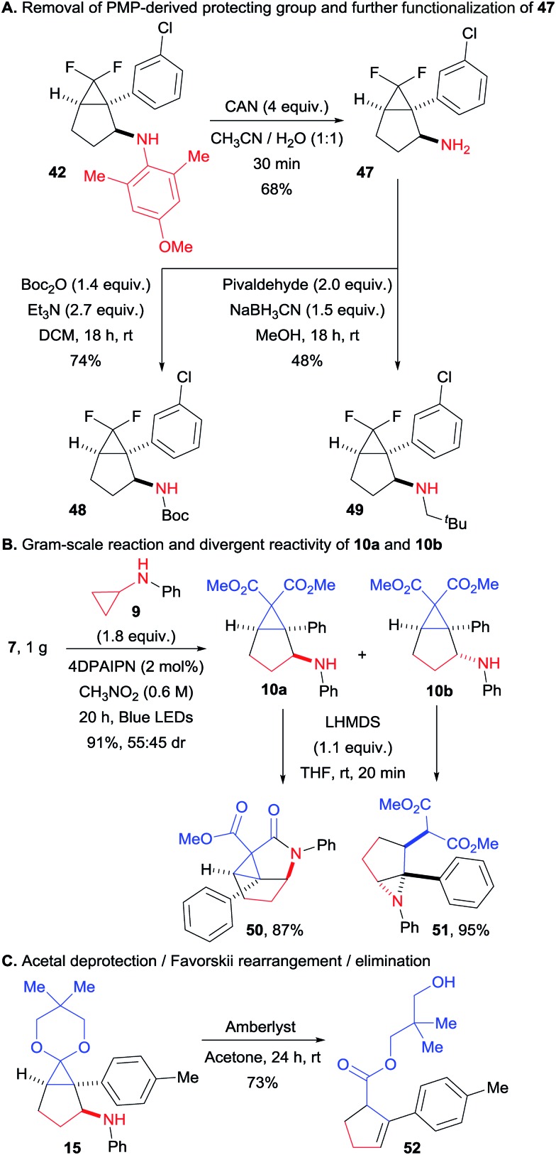 Scheme 5