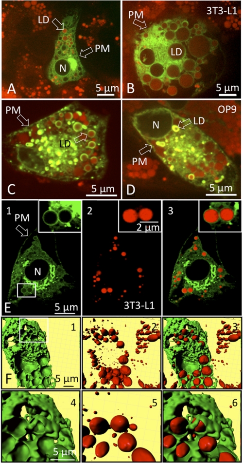 FIGURE 4.