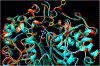 Fig. 6.
