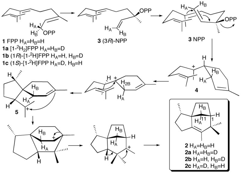 Scheme 2