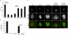 Extended Data Figure 1