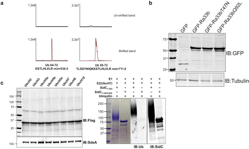 Extended Data Figure 3