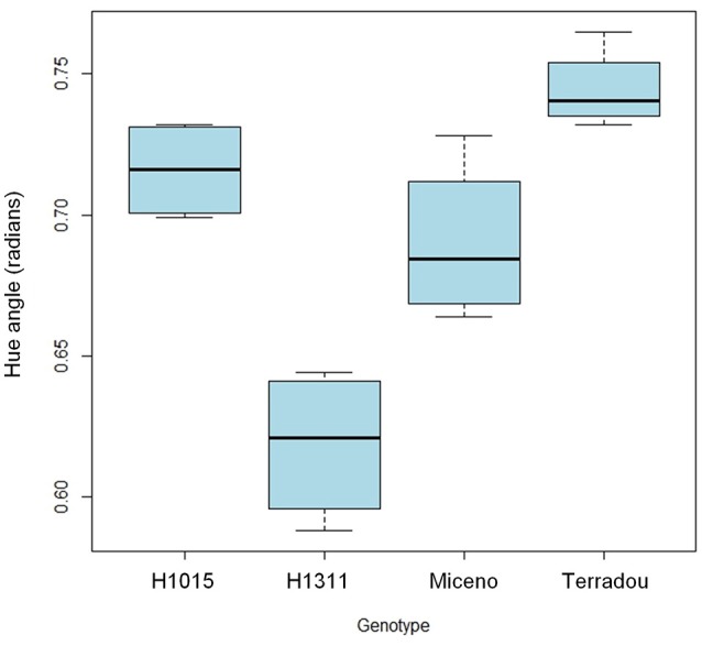 Figure 5