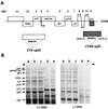 FIG. 5.