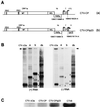 FIG. 8.