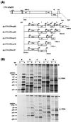 FIG. 4.