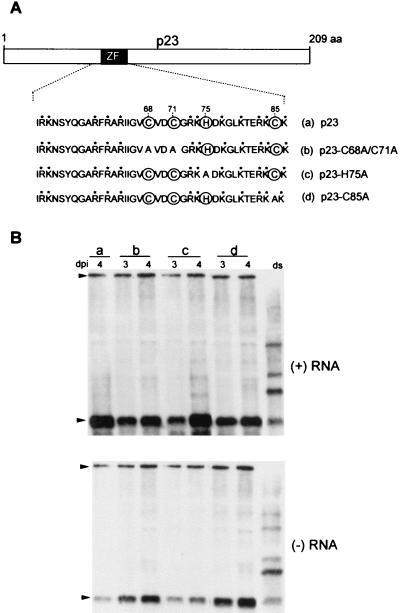 FIG. 7.