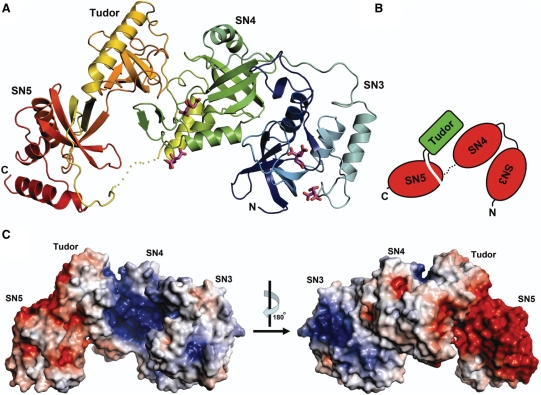 Figure 3.