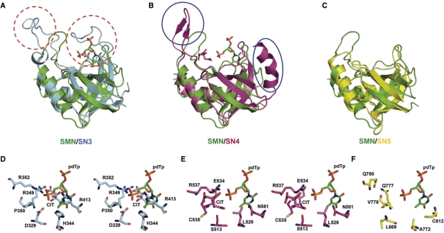 Figure 4.