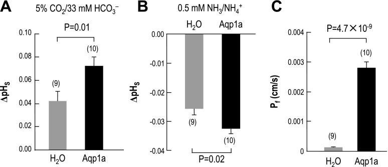 Fig. 8.