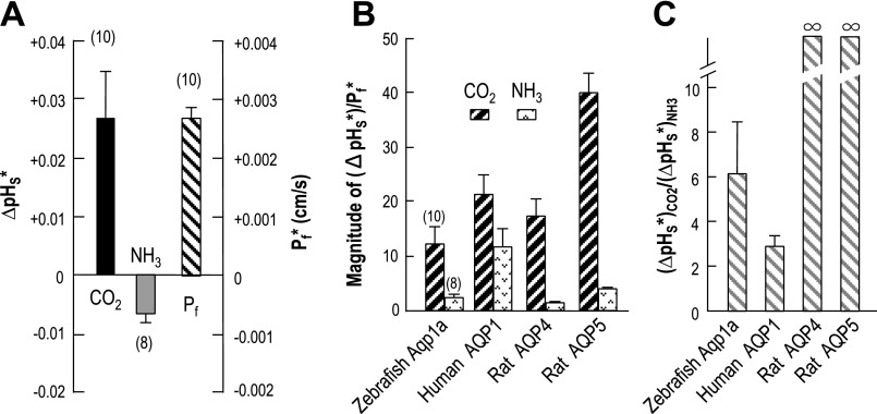 Fig. 10.