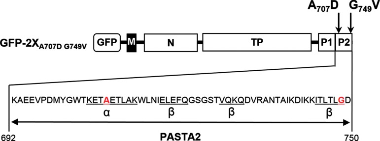 FIG. 1.