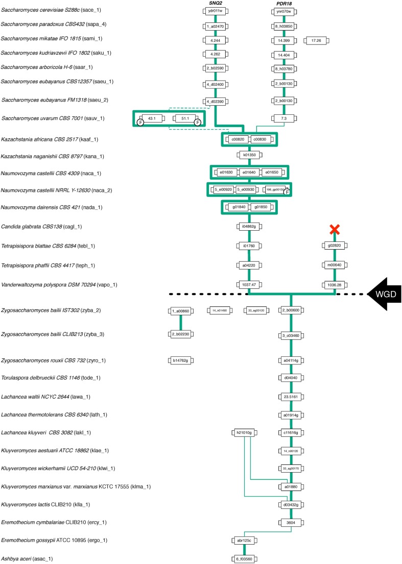 FIGURE 4