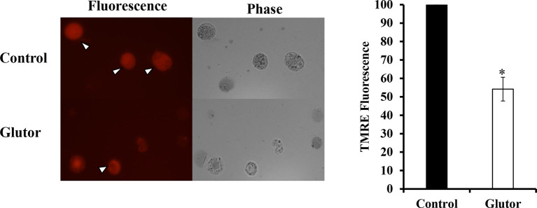 Figure 6