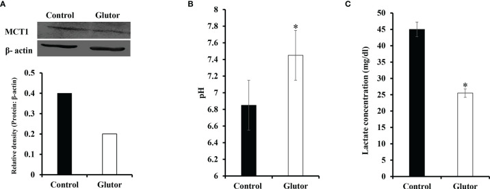 Figure 7