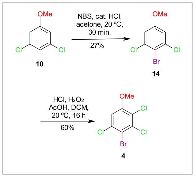 Scheme 2