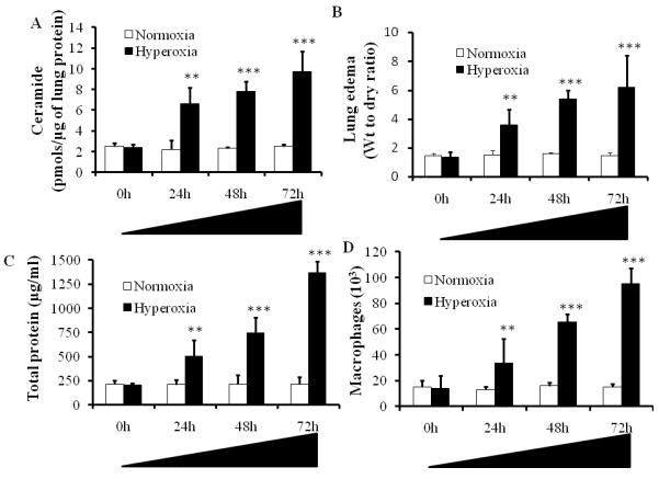 Figure1