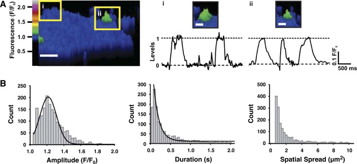 Fig. 4.