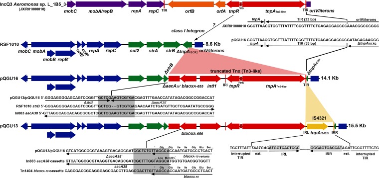 FIG 1