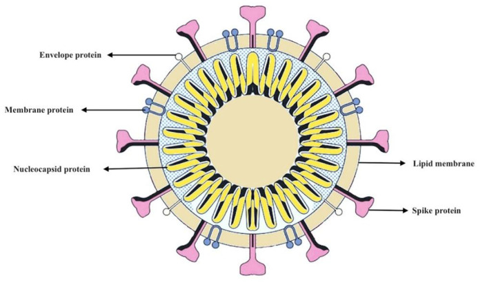 Fig. 1: