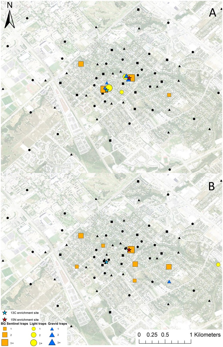 Fig 11