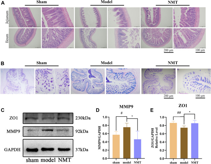 FIGURE 2