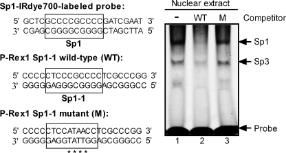 FIGURE 5.