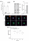 Fig 8