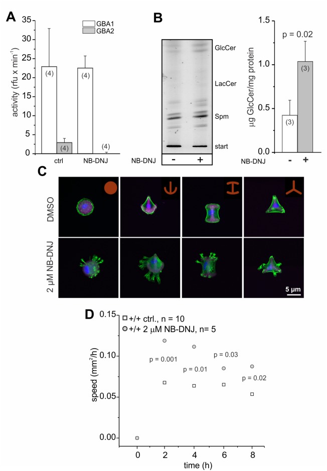 Fig 8