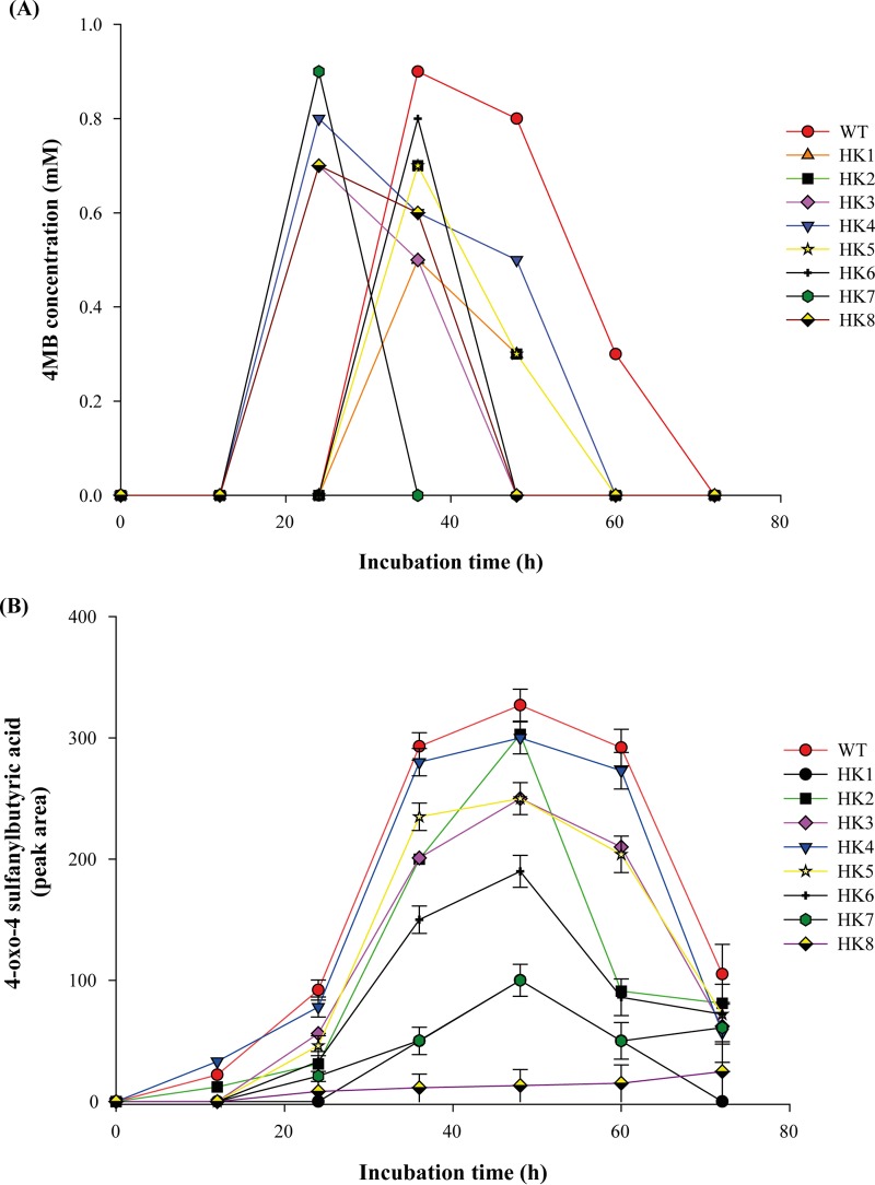 FIG 3