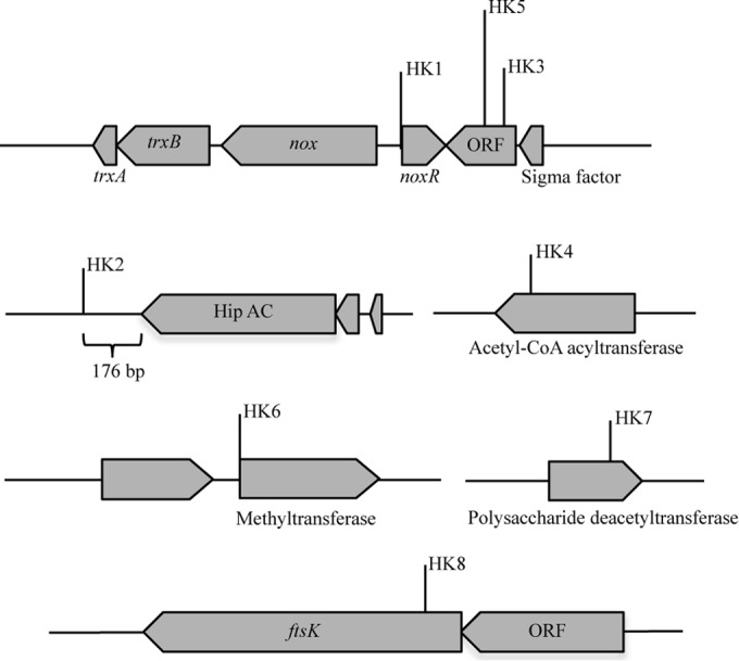 FIG 2