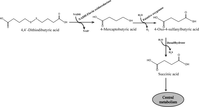 FIG 1